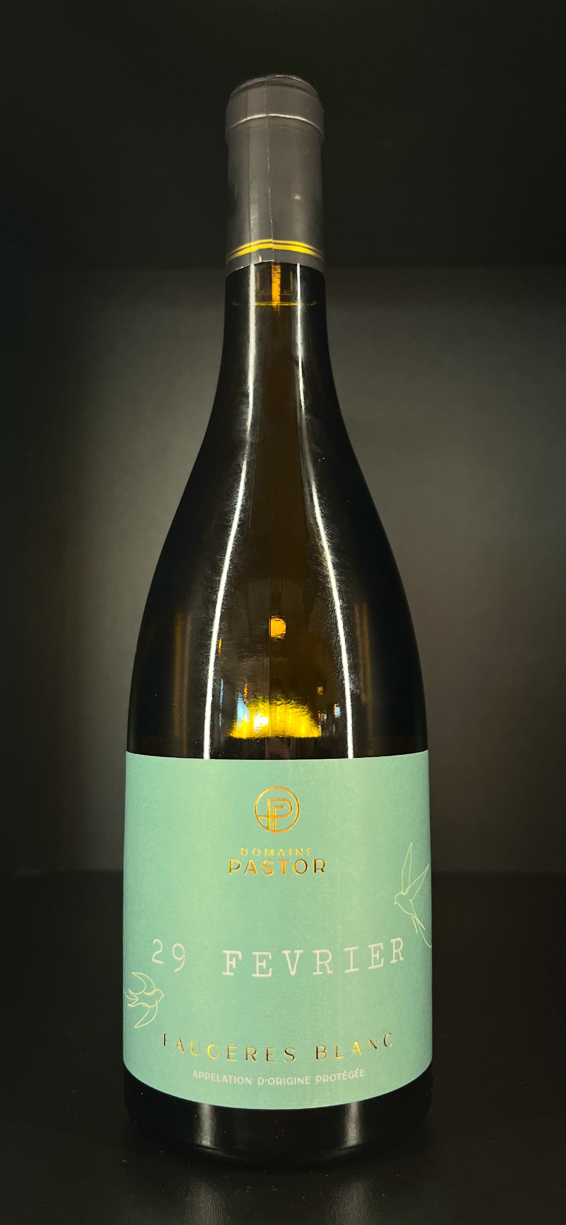29 Février - Domaine Pastor